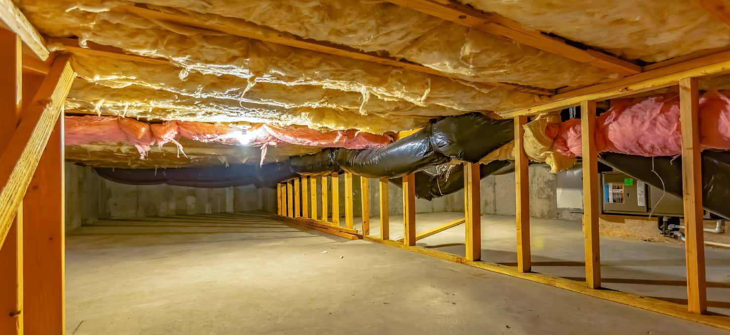 How to Keep Rats Out of Your Crawl Space (Kent, WA)